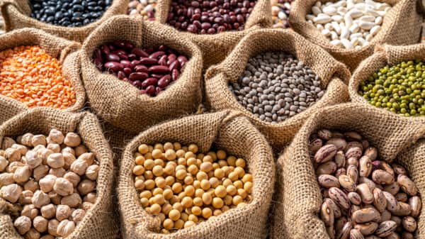 Traditionelles Saatgut - Erben unserer Vorfahren  Benjis Seeds