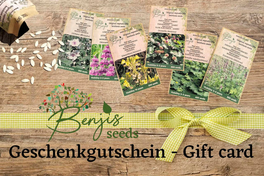 Gutschein für nachhaltiges Saatgut