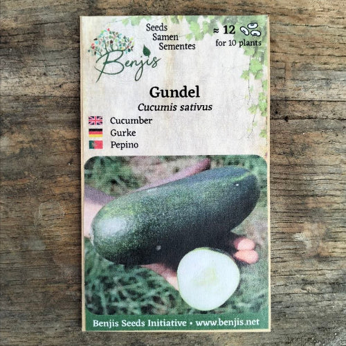 Gurke 'Gundel' - Cucumis sativus