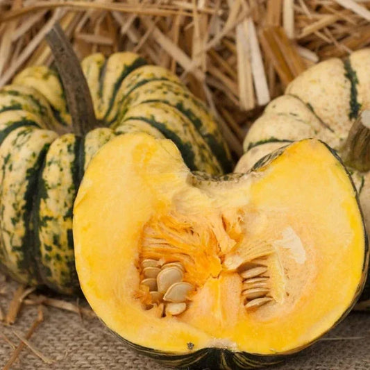 Cucurbita pepo, samenfester Kürbis 'Sweet Dumpling'. Zwei ganze Früchte mit cremefarbener Schale und dunkelgrünen Streifen liegen nebeneinander, davor eine aufgeschnittene Hälfte mit hellgelbem Fruchtfleisch und beigefarbenen Samen. Im Hintergrund liegt strohfarbenes Material. Wie die kontrastreichen Streifen der ganzen Früchte mit dem warmen Gelbton des geöffneten Fruchtfleisches und dem hellen Stroh zusammenspielen, ergibt ein klar erkennbares, sortentypisches Gesamtbild. Fotografiert für Benjis Seeds.