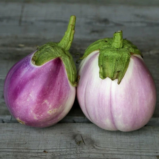 Solanum melongena ‘Rotonda Bianca Sfumata di Rosa’ – open‑pollinated eggplant presented as two harvested fruits placed on wood, one in the paler creamy‑white and the other in the deeper rose‑violet, both showing the characteristic soft colour gradient that blends from light to dark across the rounded surface, photographed for Benjis Seeds.