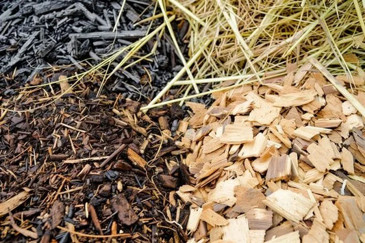 Mulchen im Garten: Mulchmaterialien und Anwendung
