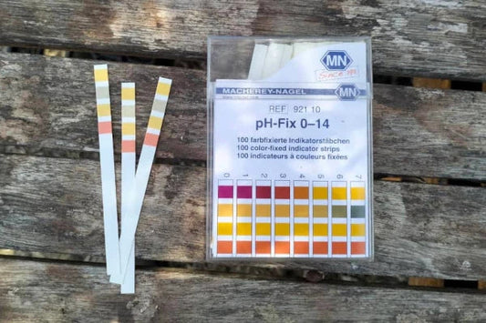 pH‑Wert‑Streifen liegen auf Holz und zeigen unterschiedliche Messbereiche der farbigen Teststreifen, die den grundlegenden Einfluss des pH‑Werts beim Gärtnern verdeutlichen. Die Szene wirkt sachlich, klar und praxisnah. Fotografiert für Benjis Seeds.