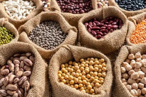 Traditional seeds – heritage of our ancestors, shown as a diverse selection of hand‑picked historic seeds in jute sacks, presented in natural colours and shapes, photographed for Benjis Seeds.