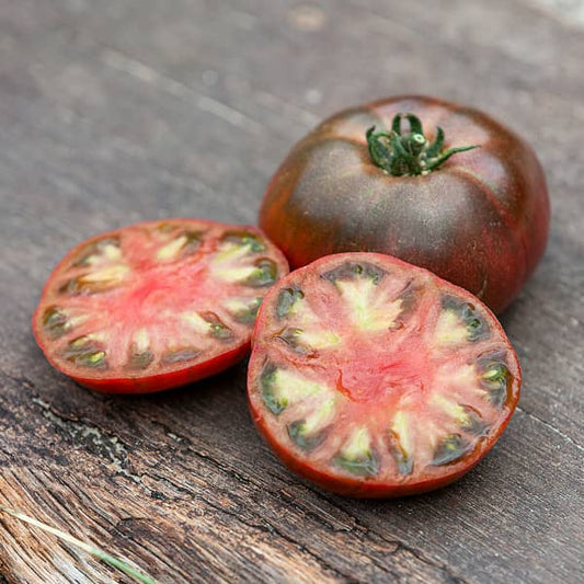 Tomate bovino Cherniy Prinz [Solanum lycopersicum]