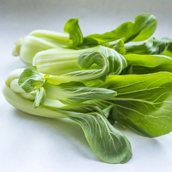 Brassica rapa subsp. chinensis ‘Pak Choi’ – open‑pollinated Asian green presented as a freshly cut plant, showing its compact rosette of smooth, spoon‑shaped, glossy deep‑green leaves and thick, pale‑green to white petioles. The cut base reveals the tight, layered structure of the stems, giving the typical crisp, juicy appearance, photographed for Benjis Seeds.