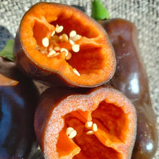 Capsicum annuum ‘Sweet Chocolate’ – open‑pollinated sweet pepper shown as a small harvest of mature fruits, including one fruit cut open in the foreground to reveal its thick walls and deep chocolate‑brown skin transitioning to warm reddish tones inside with seeds. The whole fruits display their characteristic blocky shape, while the cut piece highlights the seed cavity and glossy interior, photographed for Benjis Seeds.